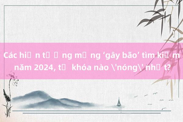 Các hiện tượng mạng ‘gây bão’ tìm kiếm năm 2024， từ khóa nào 'nóng' nhất?